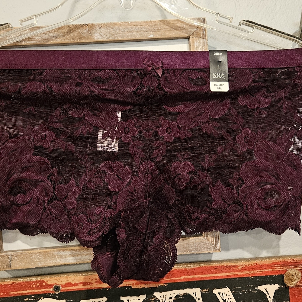 Torrid Dark Purple Lace Panties
